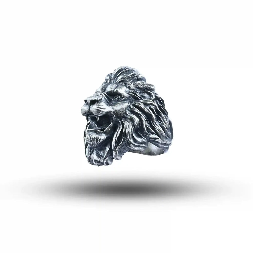 2012_Roarl_Lion_Sbj (3)