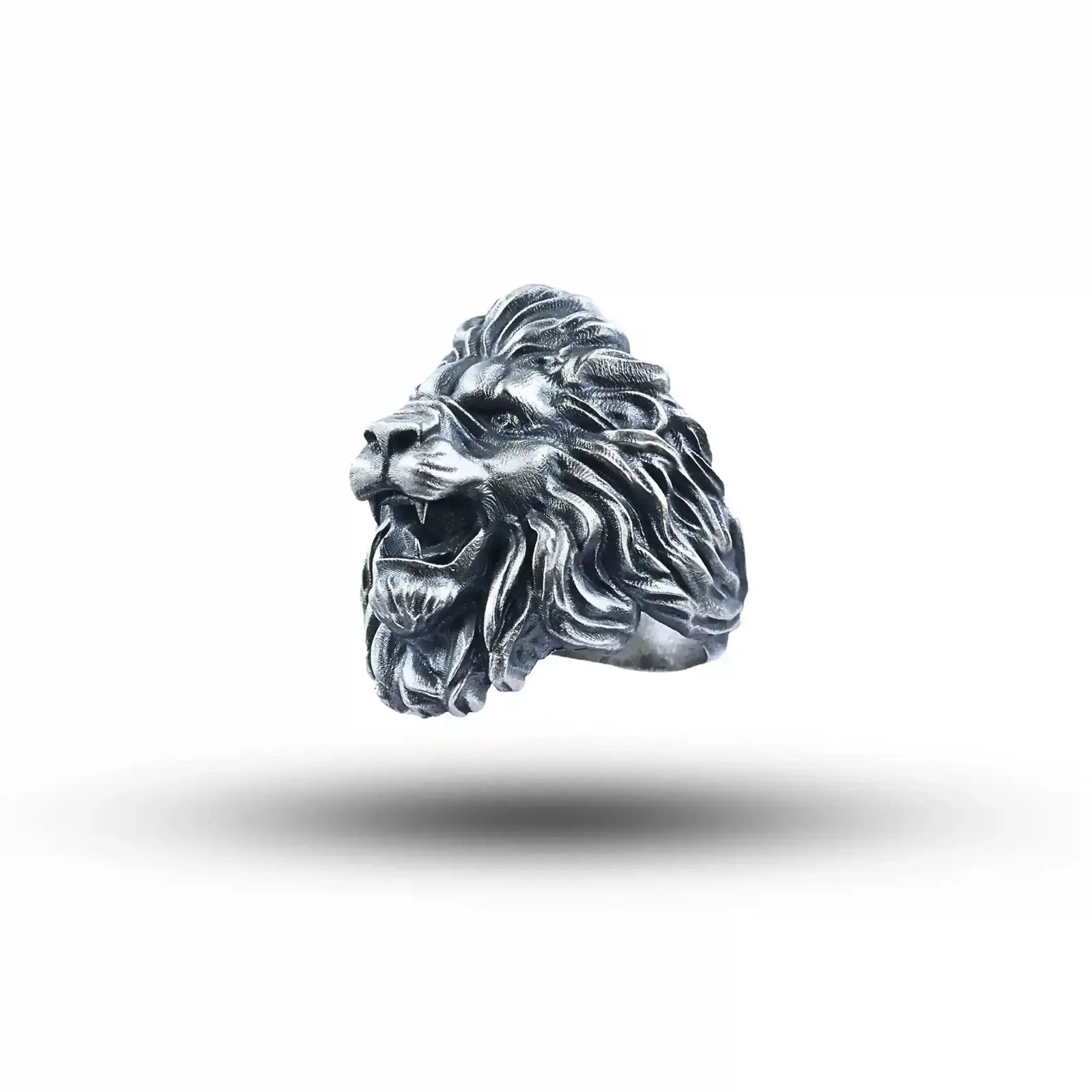 2012_Roarl_Lion_Sbj (3)
