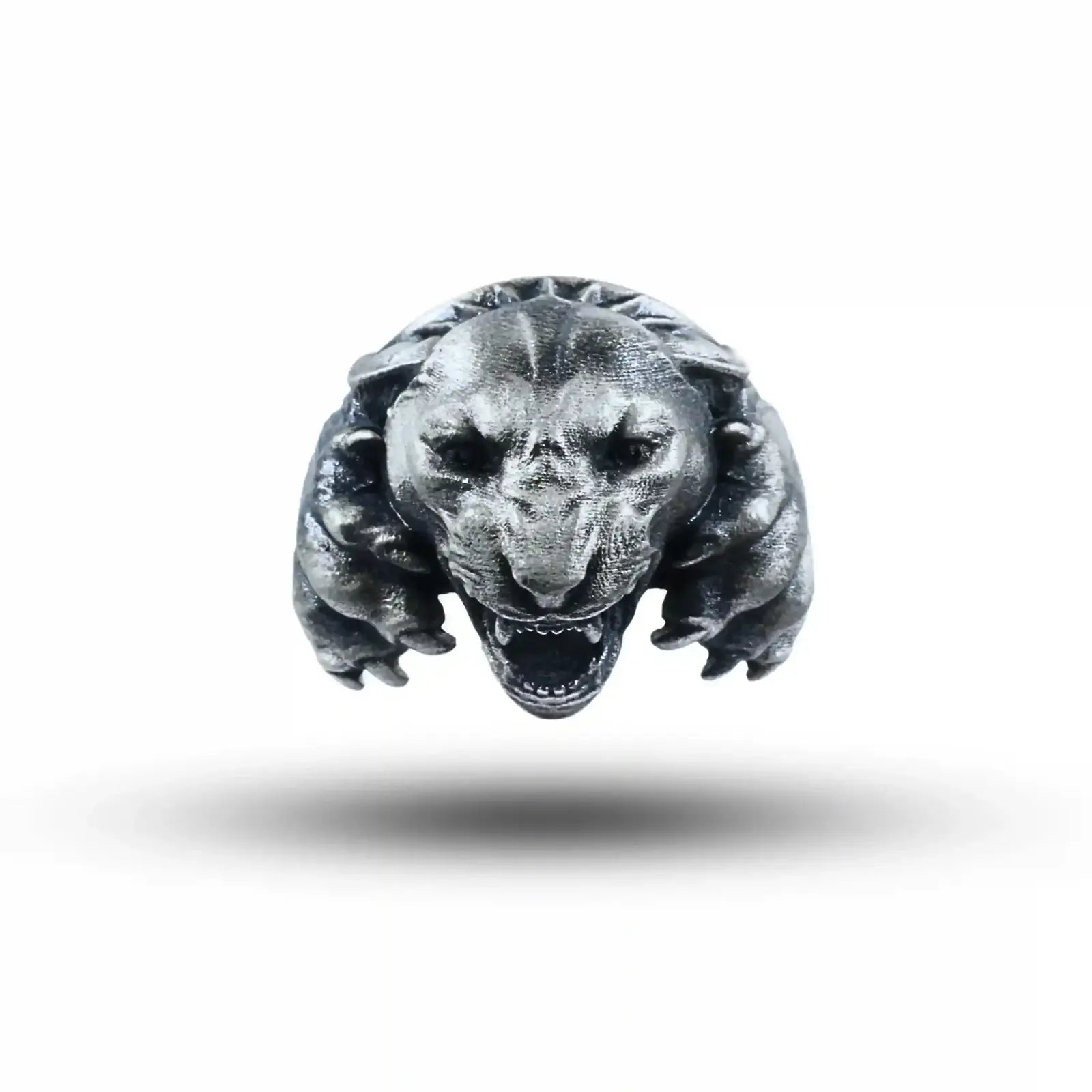 2015_Roaring_Wild_Panther_Jaguar_Sbj (3)
